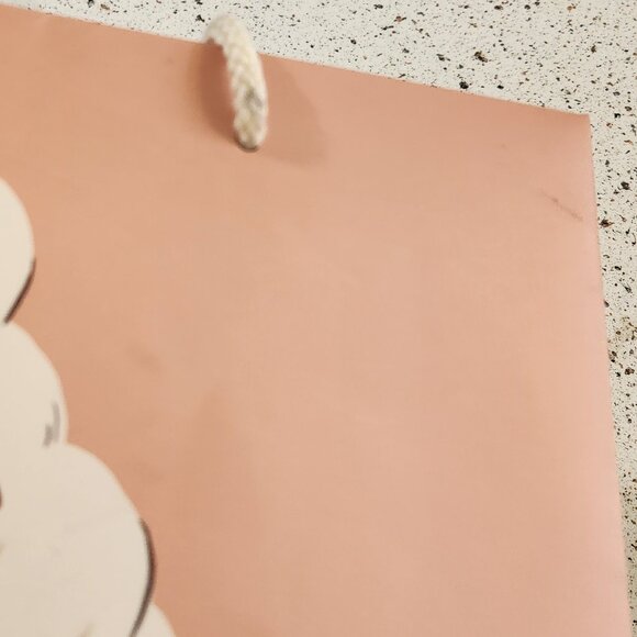 Amy Heitman Another Year Sweeter Ice Cream Birthday Gift Bag - Picture 4 of 7